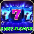 andy flower VIP v4.8.0