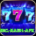 bbl big bash apk Plus Pro v1.1.4