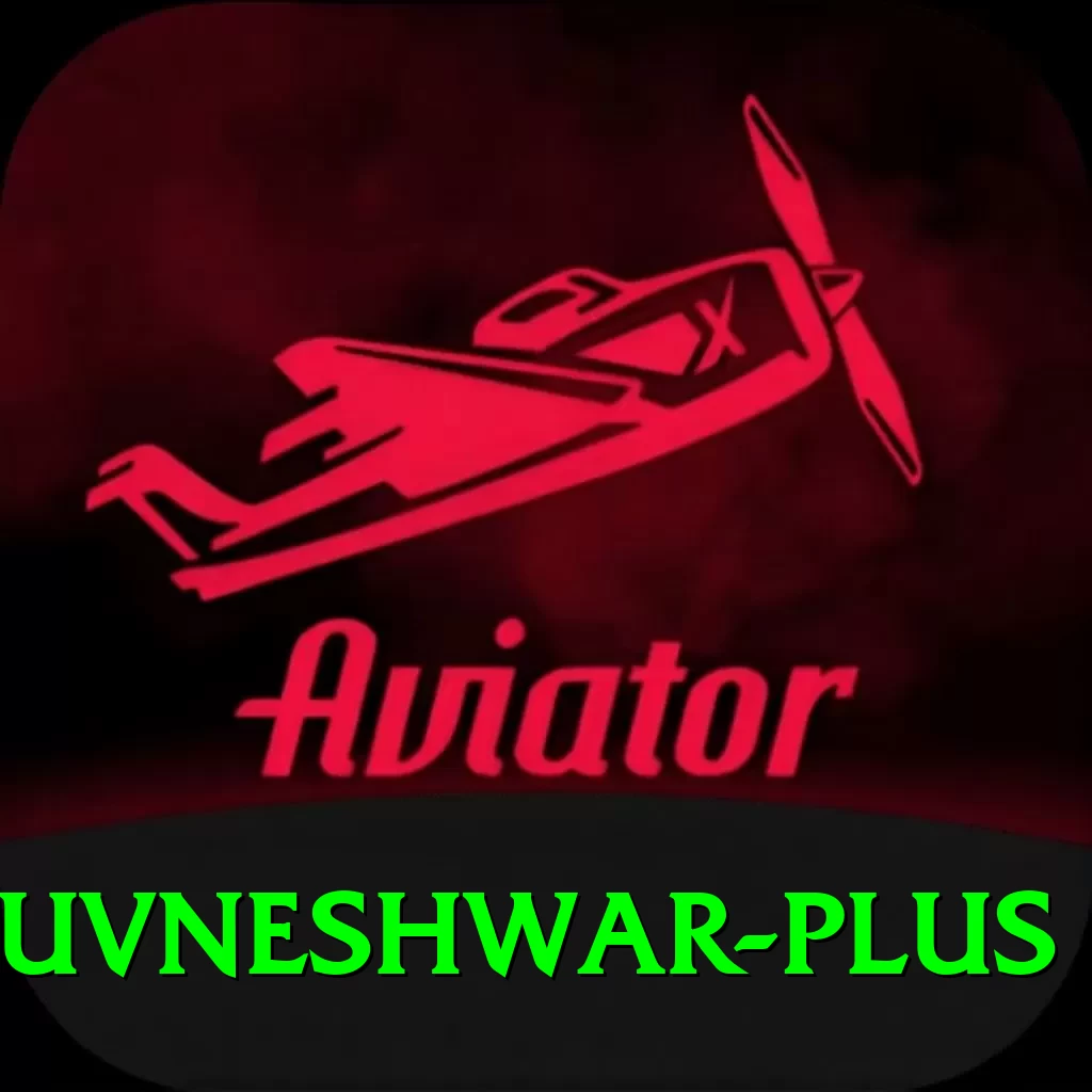 bhuvneshwar - VIP Deluxe - 2