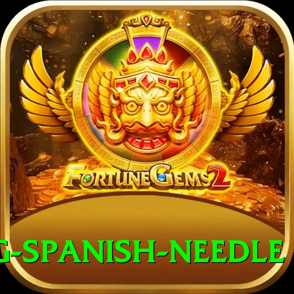 canyoning spanish needle Apps (Tools & Injectors) Deluxe v5.9.3 - 2