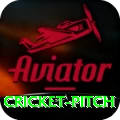 cricket pitch Master v1.2.6