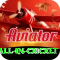 fastest ball in cricket Pro v3.0.6