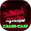 grass carp Apps (Tools & Injectors) Max v1.6.5