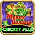 india bangladesh cricket Slot Machine VIP