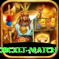 india pakistan cricket match Elite v2.7.8