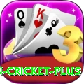india pakistan cricket APK Deluxe v4.3.2