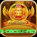 india pakistan cricket Premium Gaming App