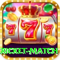 international cricket match VIP Edition v1.6.9