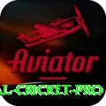 international cricket Master APK v1.4.0