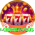 ndtv cricket Live Casino Plus
