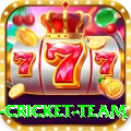 new zealand cricket team Games (Casino & Earning) Deluxe v1.2.3