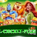 one cricket King v3.5.9
