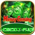online cricket - Royal Earning App