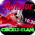 pakistan women cricket team Apps (Tools & Injectors) Max v1.6.8