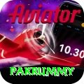 pakrummy Apps (Tools & Injectors) Master v4.1.5