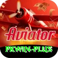 pkwin Pro1 v1.4.0