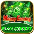 play cricket Pro v3.4.2