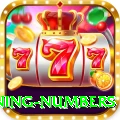powerball jackpot winning numbers Deluxe Edition v5.9.1