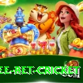 risk free bet cricket Pro Max v4.3.9