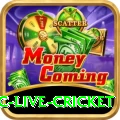 smartcric live cricket Pro v4.5.2