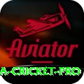 sri lanka cricket Slots Prime v1.3.1