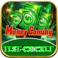 test cricket Premium Edition v1.7.5