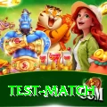 test match Turbo Pro v2.4.7