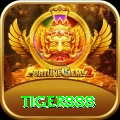 tiger888 Gold vv4.5.2