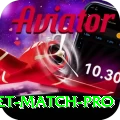 to day cricket match Gaming Elite v3.0.8