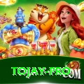 tojay Master v5.6.1