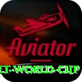 u19 cricket world cup Master v2.2.4