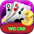 wc t20 Pro1 v3.2.5