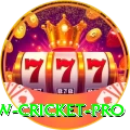 willow cricket - Slots Legend