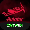 yaywin Pro Edition v3.7.1